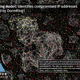 Illustration for article titled $3 Million In Click Fraud Over Two Weeks? Just The Beginning